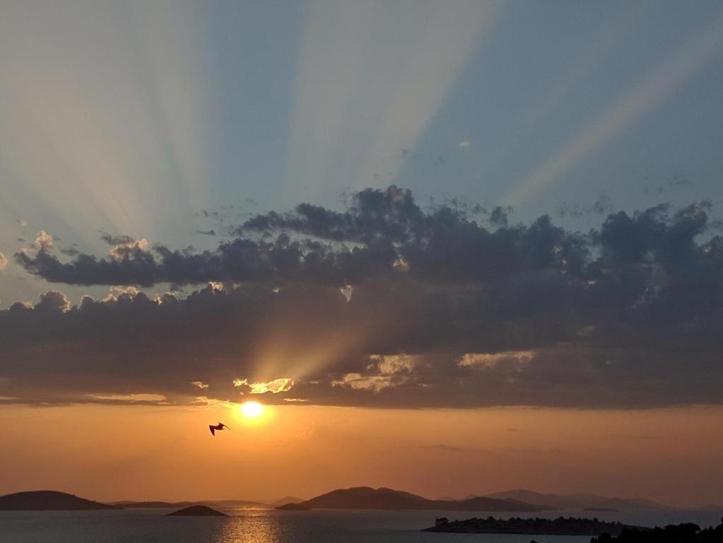 Apartman Rašip, Murter Bagian luar foto